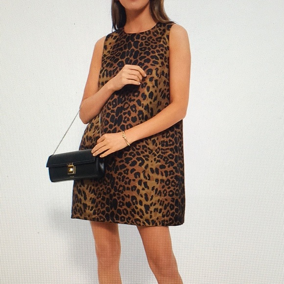 Tuckernuck Dresses & Skirts - Tuckernuck Sheath Dress Leopard Print